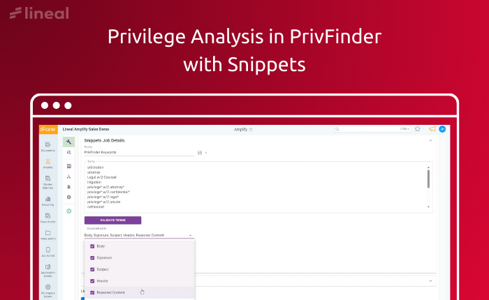 How to Assess Privilege Keyword Terms Hit - Amplify User Stories